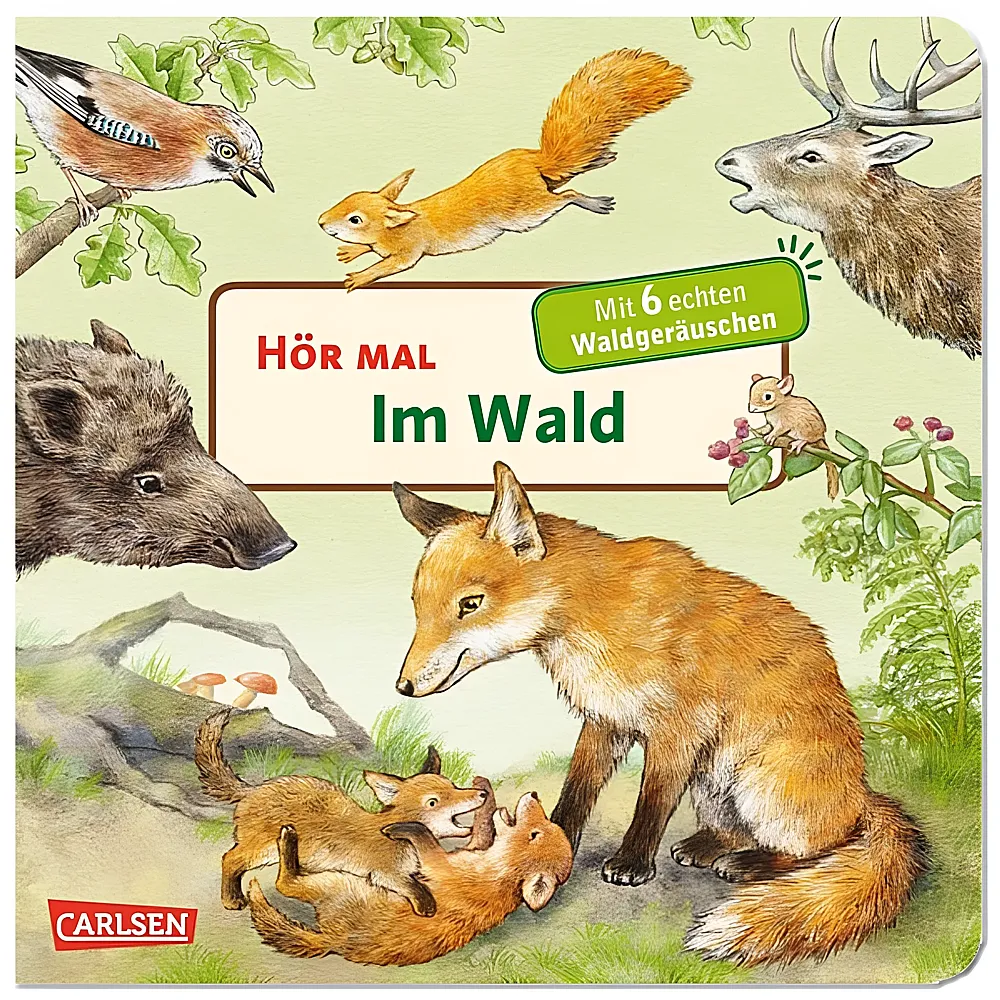 Carlsen Hr mal Im Wald | Papp-Bilderbcher