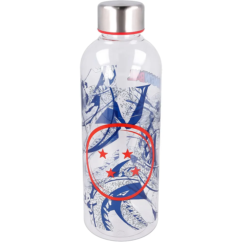 Stor Dragonball Wasserflasche 850ml