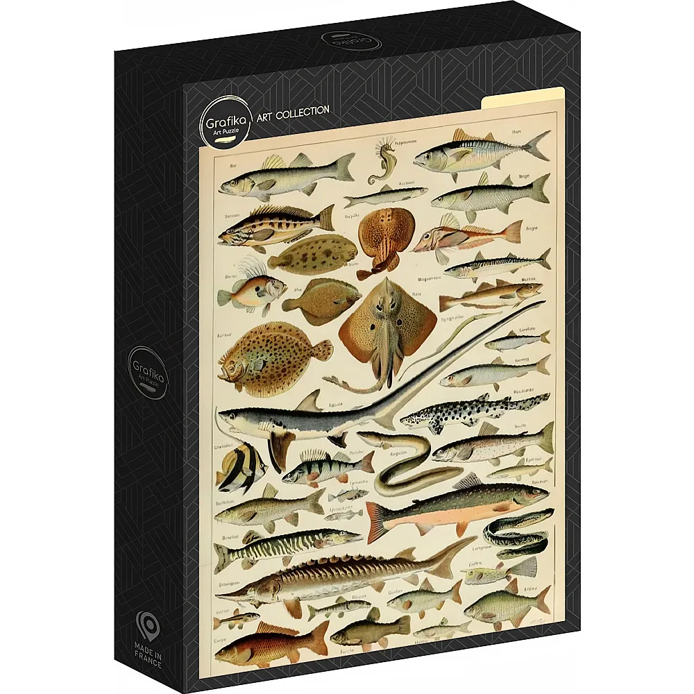Grafika Puzzle Art Collection Illustration aus dem Larousse pour Tous : Fische, 19. Jahrhundert 1000Teile