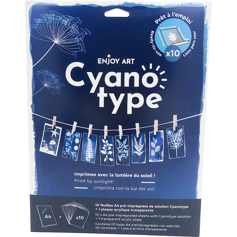 OZ International Enjoy Art Kit 10 Feuilles Cyanotype A4 + 1 Plaque A4