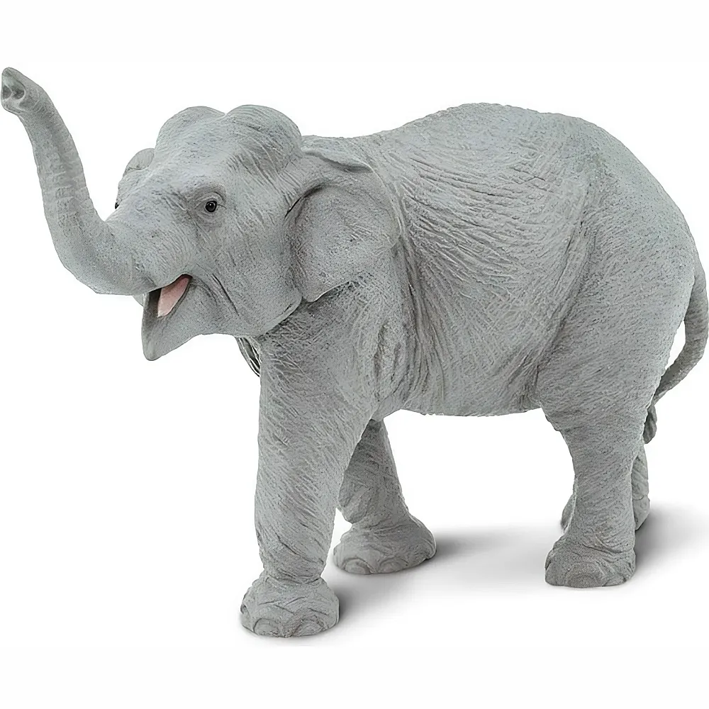 Safari Ltd. Wildlife Asiatischer Elefant
