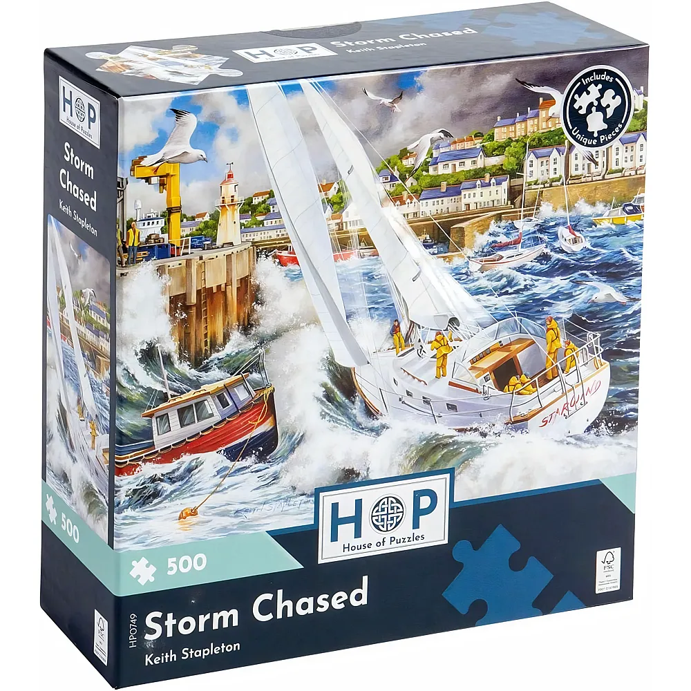HOP - House of Puzzles Storm Chased 500Teile