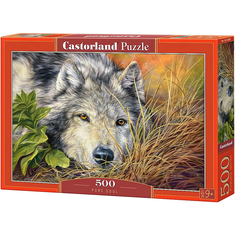 Castorland Puzzle Reine Seele - 500 Teile