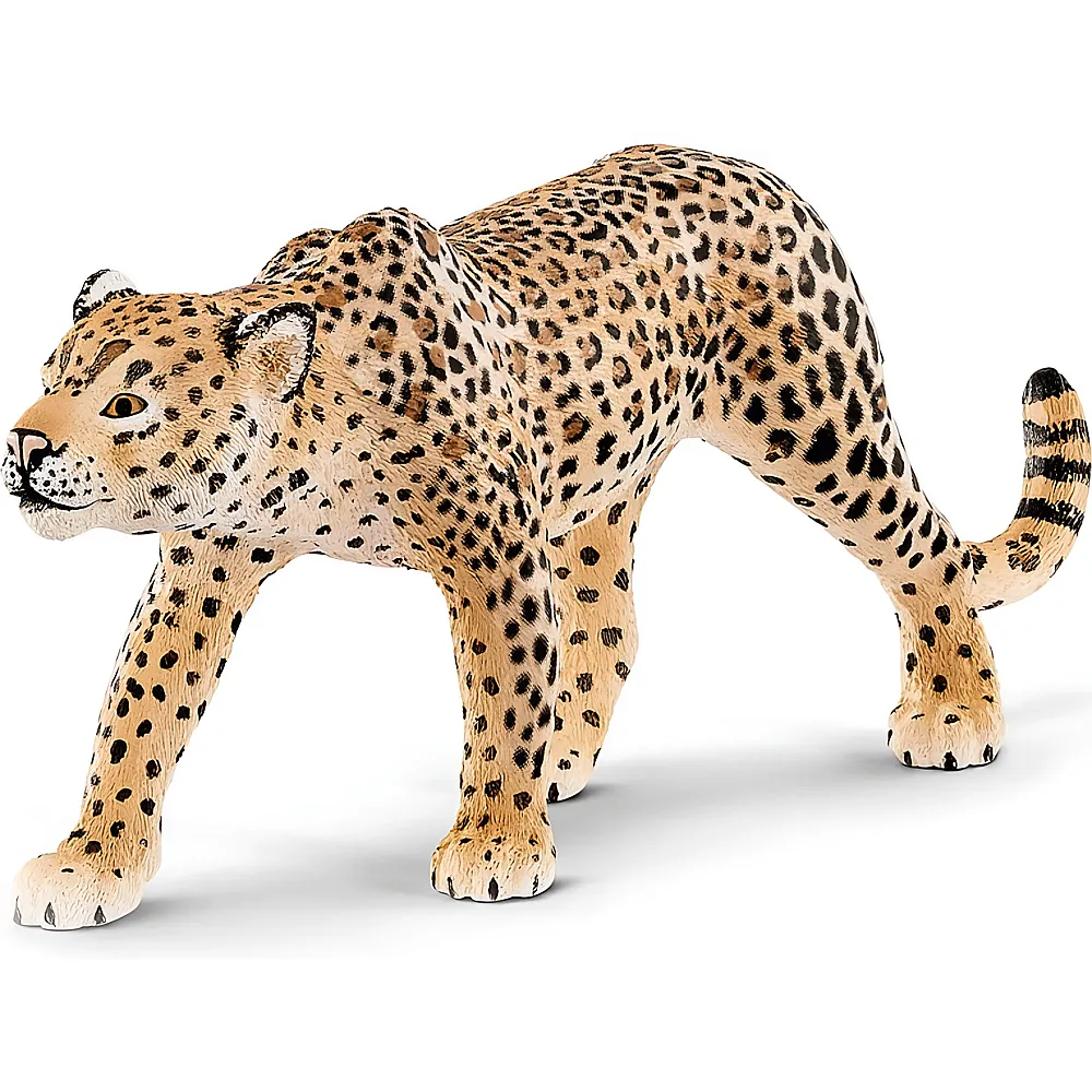 Schleich Wild Life Safari Leopard | Wildtiere