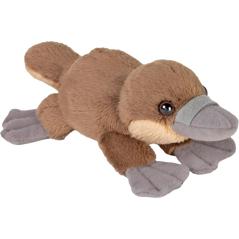 meinspielzeug - Wild Republic Aquatic Pocketkins Schnabeltier - 13 cm | Meerestiere Pl�sch