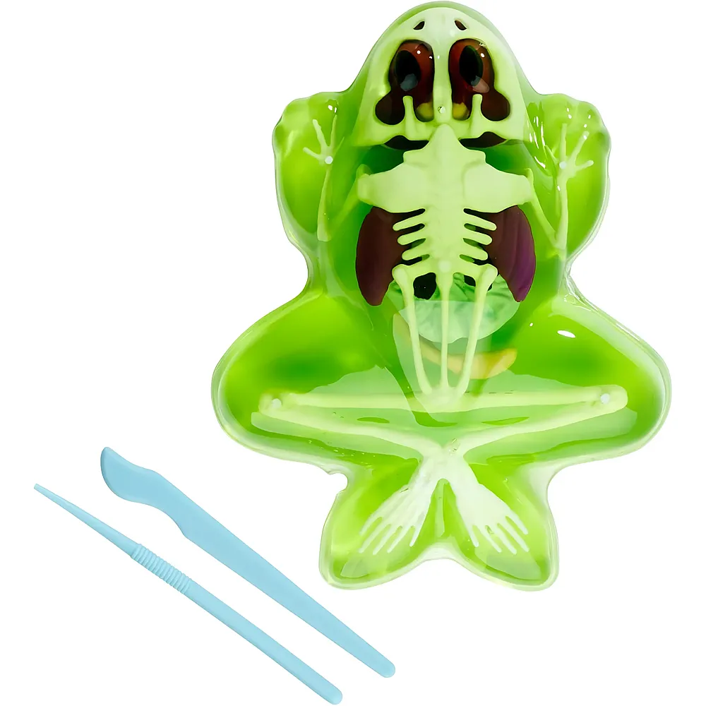 Simba Scout Dissect-It Frosch