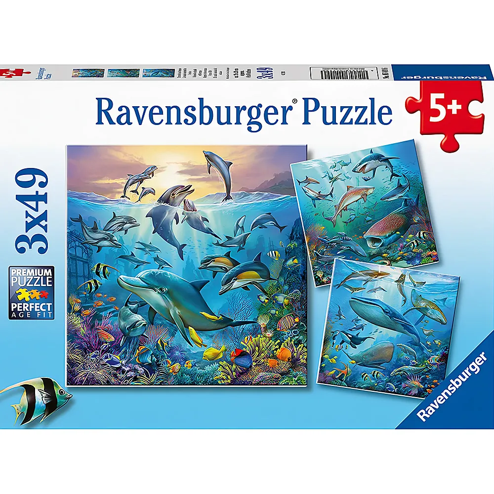 Ravensburger Puzzle Tierwelt des Ozeans 3x49