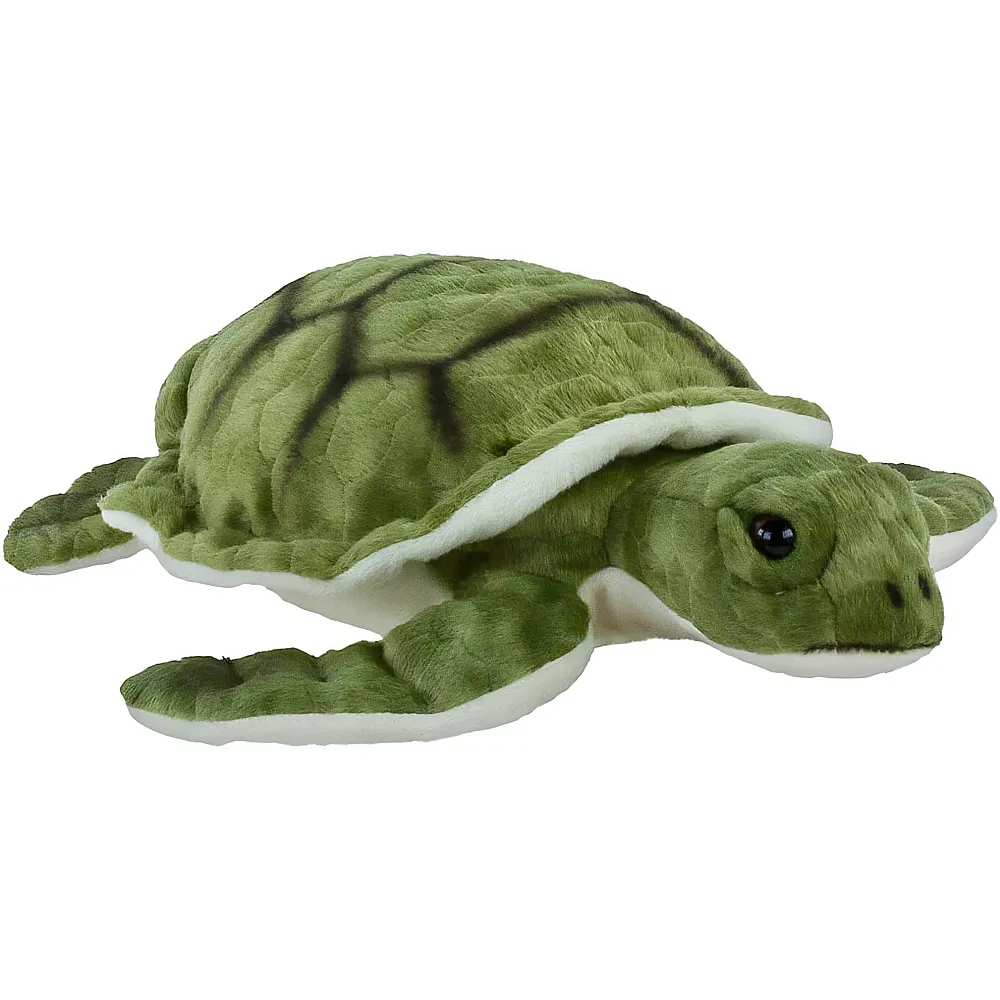 Teddys Rothenburg Tortue de mer - 35 cm