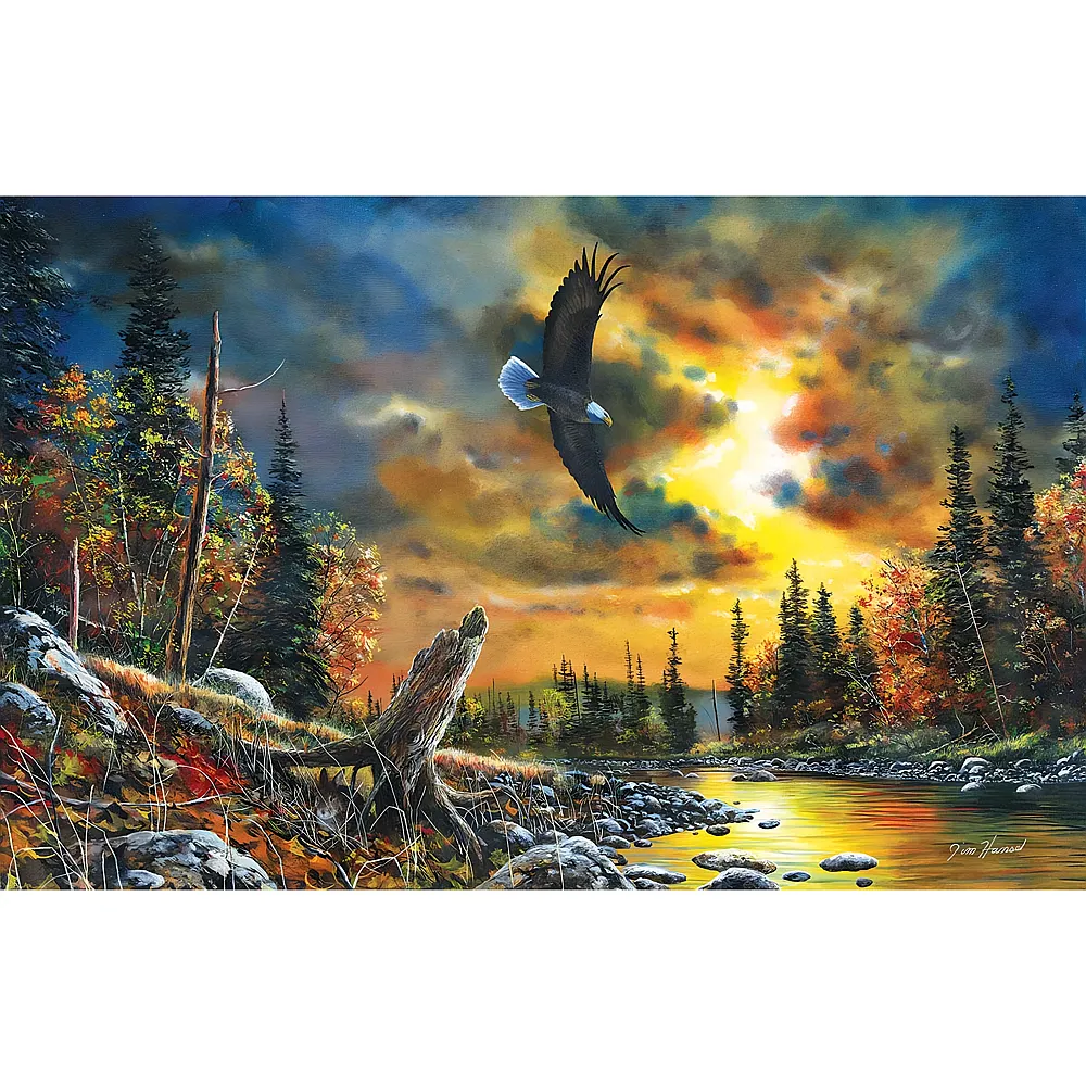 SunsOut Puzzle Sky Watcher 1000Teile - Puzzle 1000 Teile