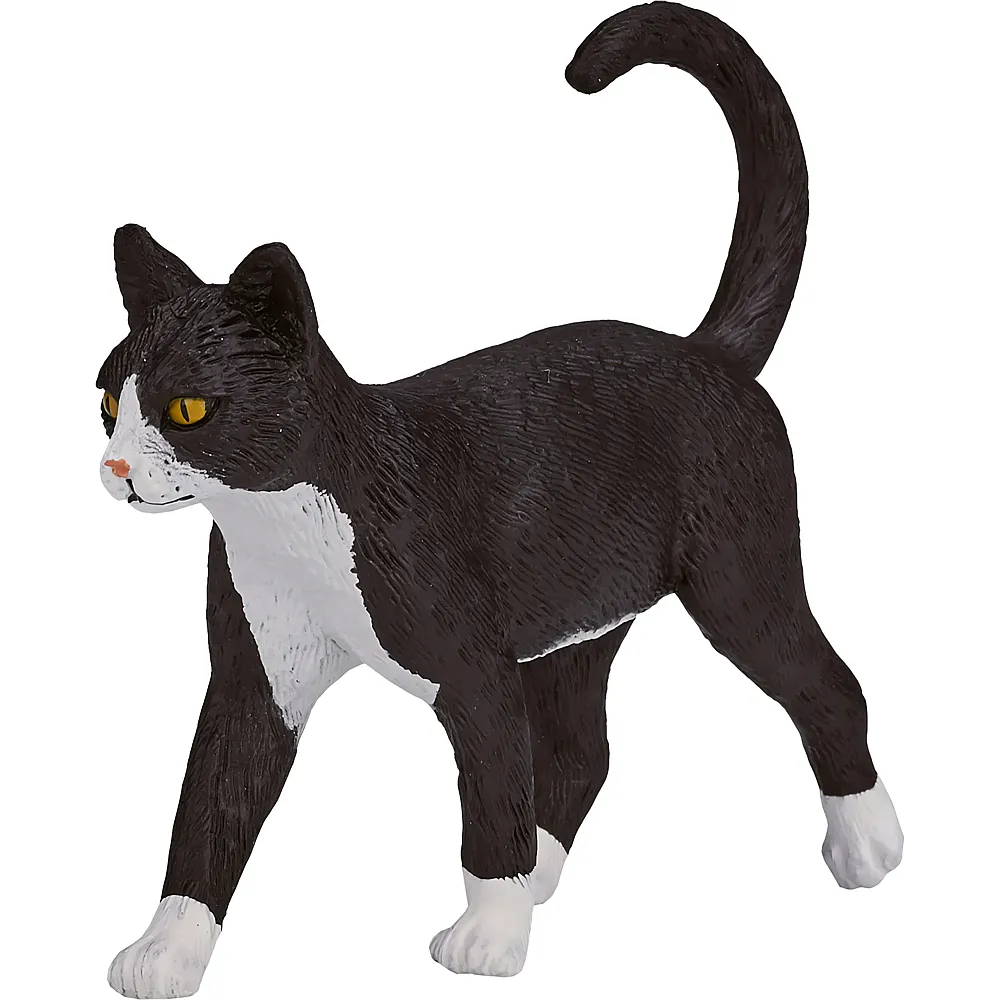 Mojo Farmland Katze