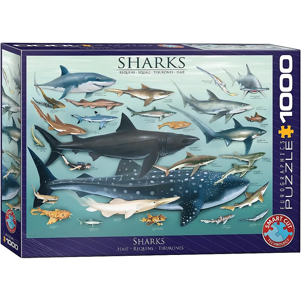 Eurographics Puzzle Sharks - 1000 Teile