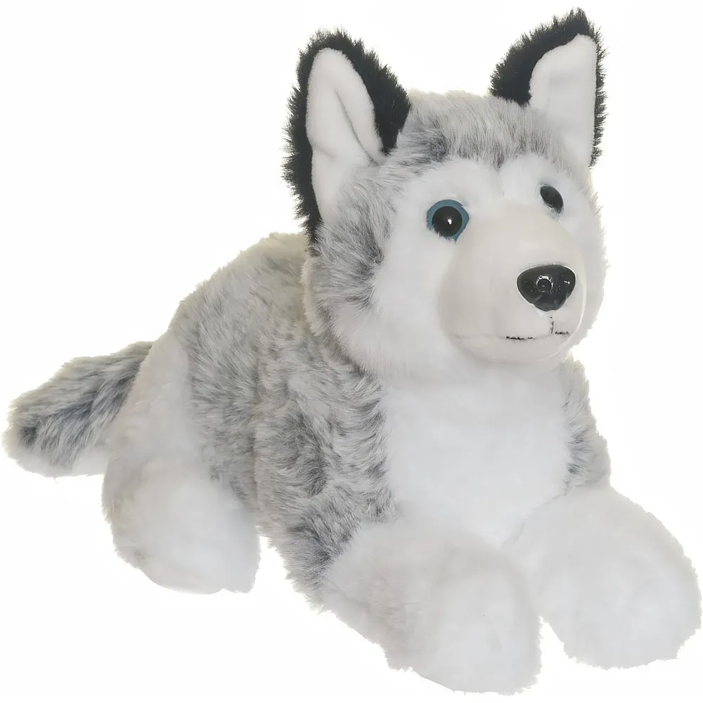Teddykompaniet Husky - 25 cm | Hunde Pl�sch