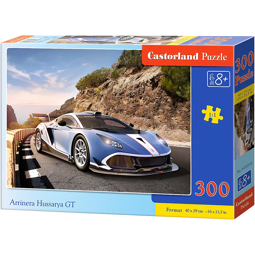 Castorland Puzzle Arrinera Hussarya GT - 300 Teile