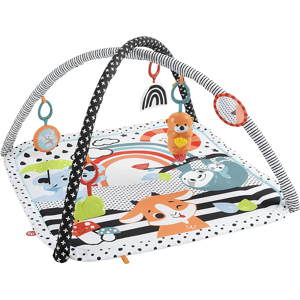 Fisher-Price Tierfreunde Kontrast-Spieldecke mit Musik & Licht
