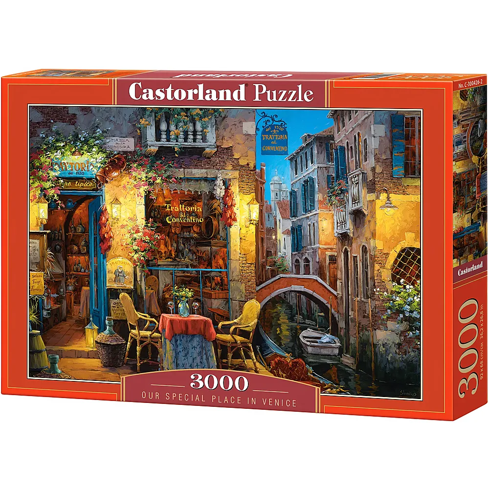 Castorland Puzzle Our Special Place in Venice 3000Teile