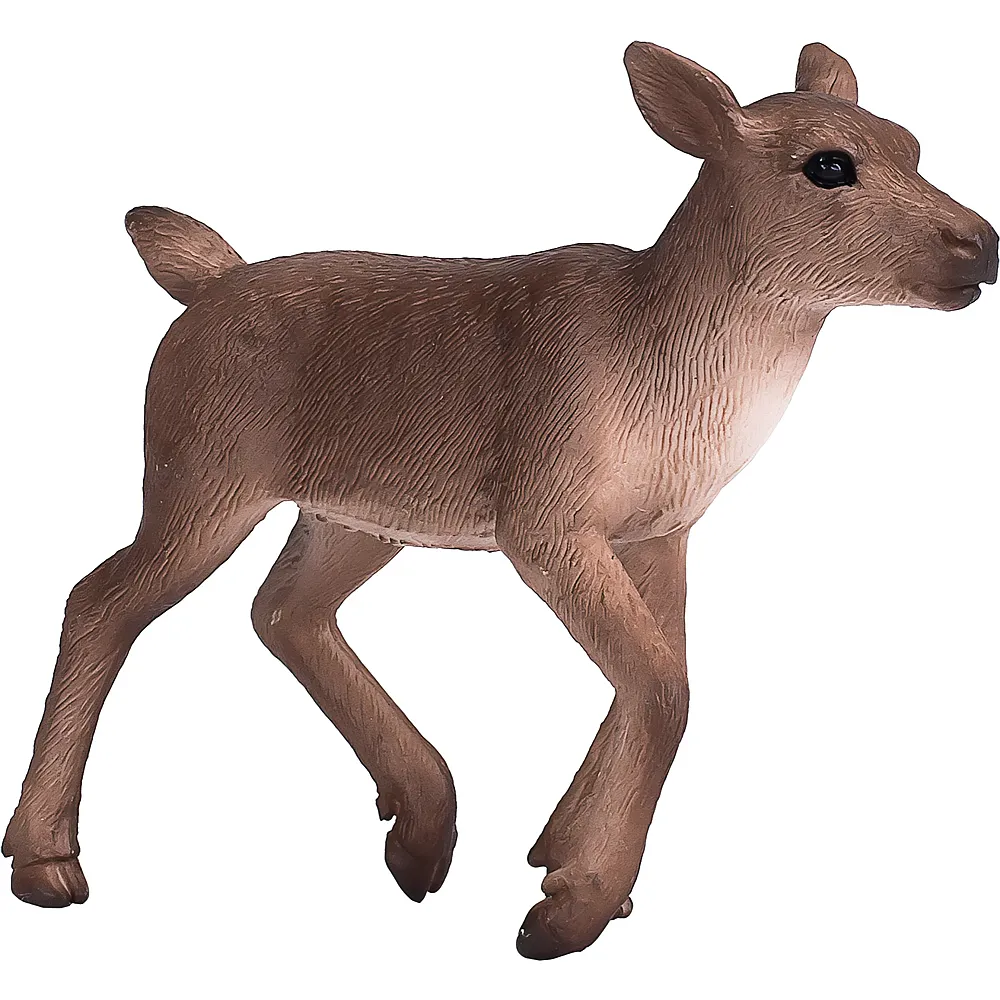 Mojo Wildlife Rentierkalb