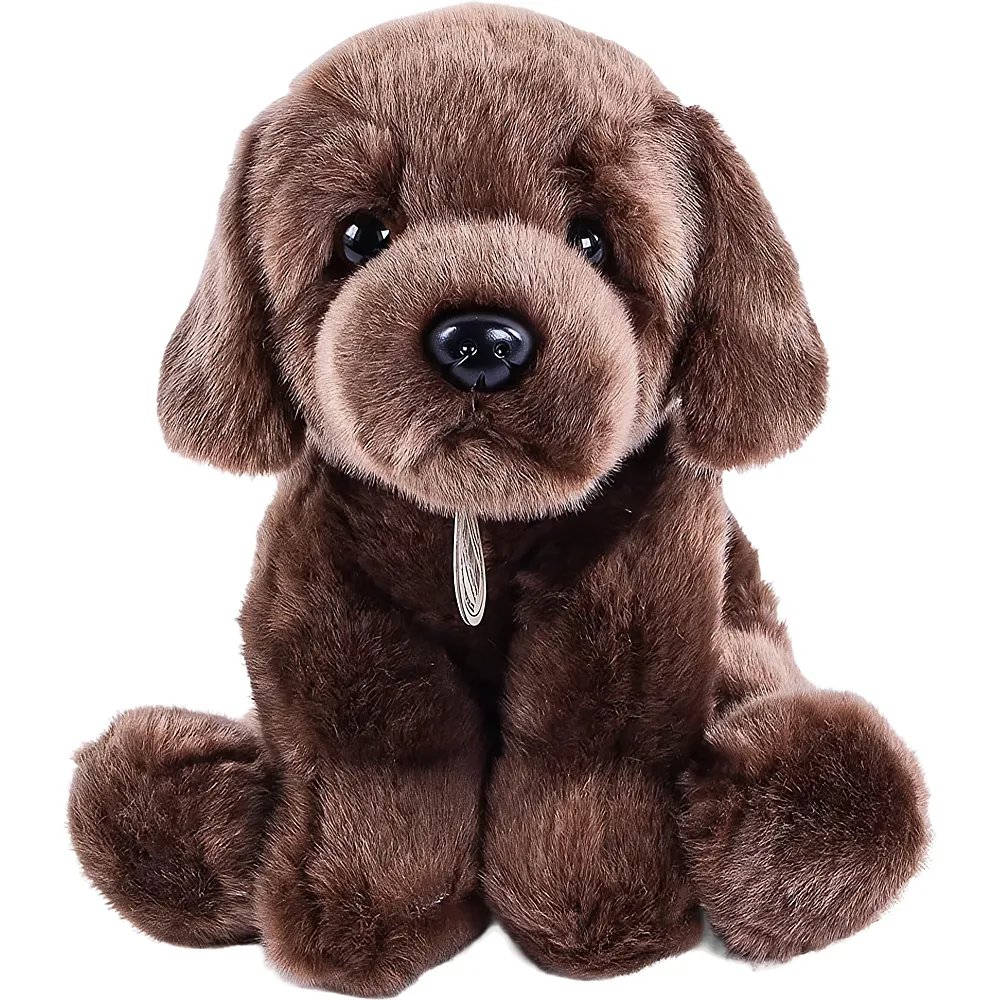 Teddys Rothenburg Labrador seduto marrone cioccolato - 30 cm