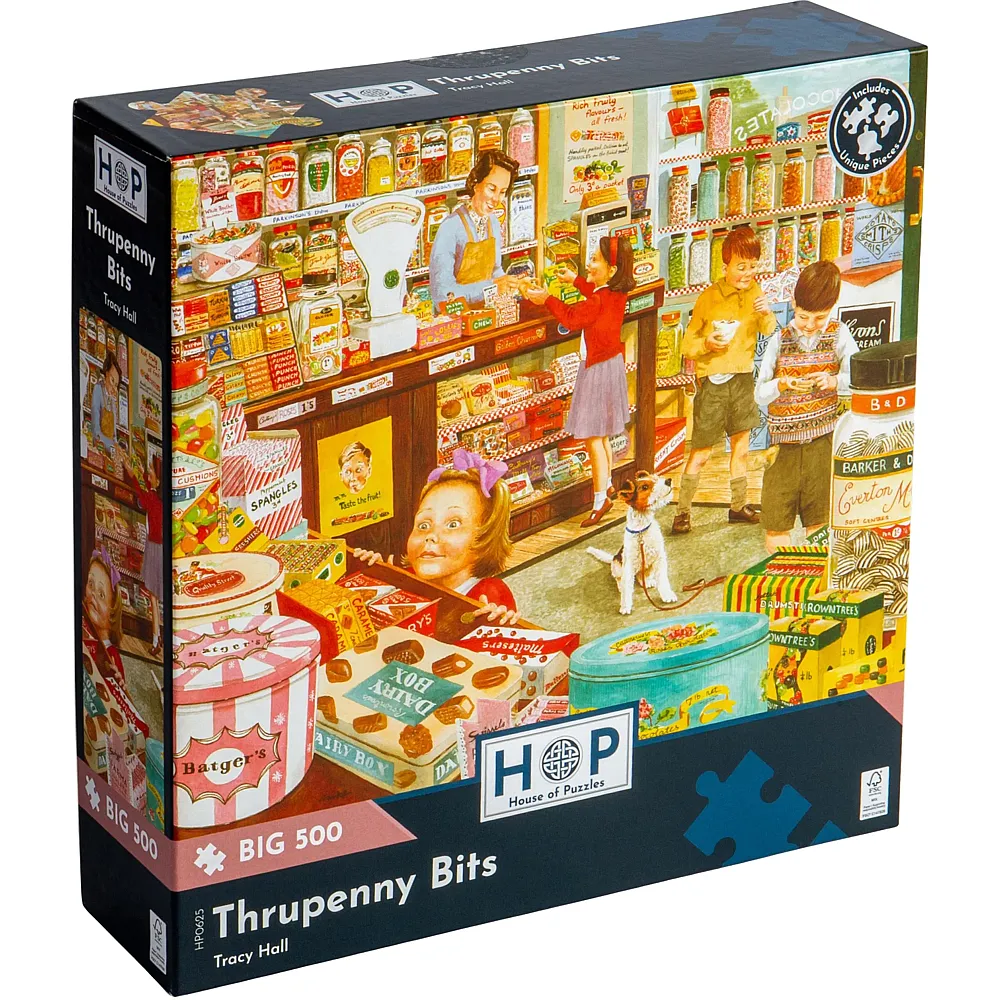 HOP - House of Puzzles Thrupenny Bits 500Teile