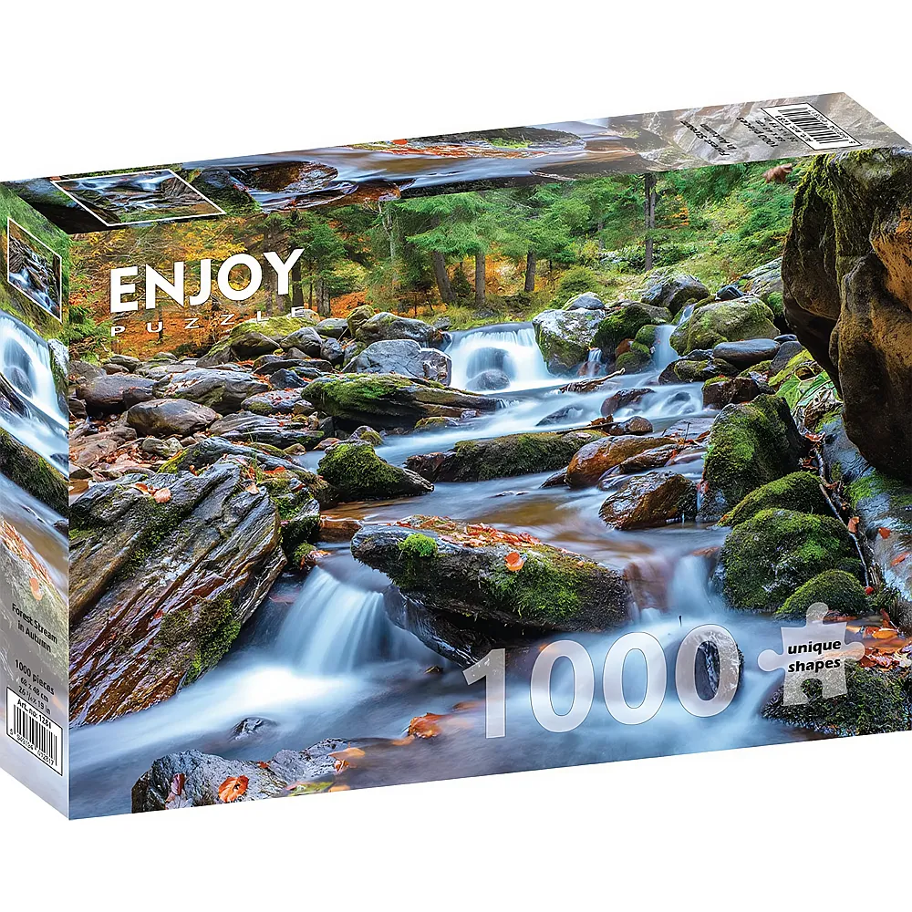 Enjoy Puzzle Waldbach im Herbst - 1000 Teile
