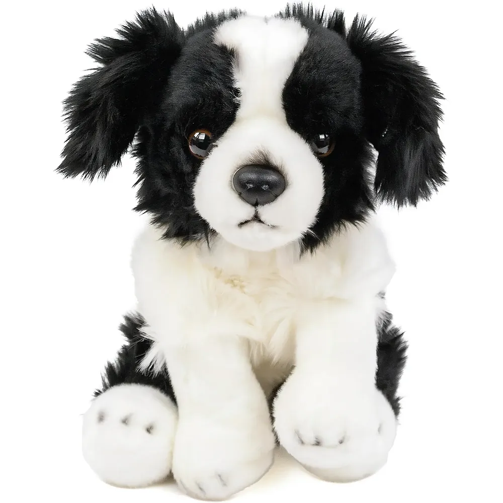 Teddys Rothenburg Border Collie sitzend - 30 cm