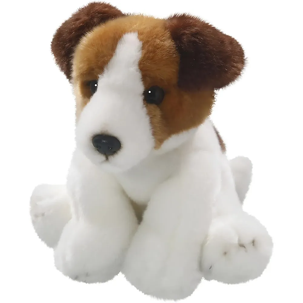 Carl Dick Jack Russel Terrier Floppy - 22 cm