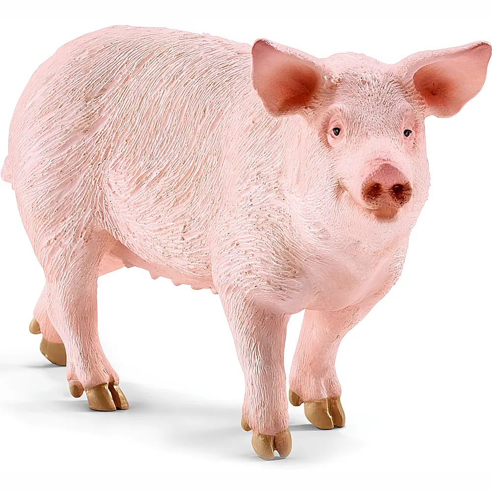 Schleich Farm World Schwein | Bauernhoftiere