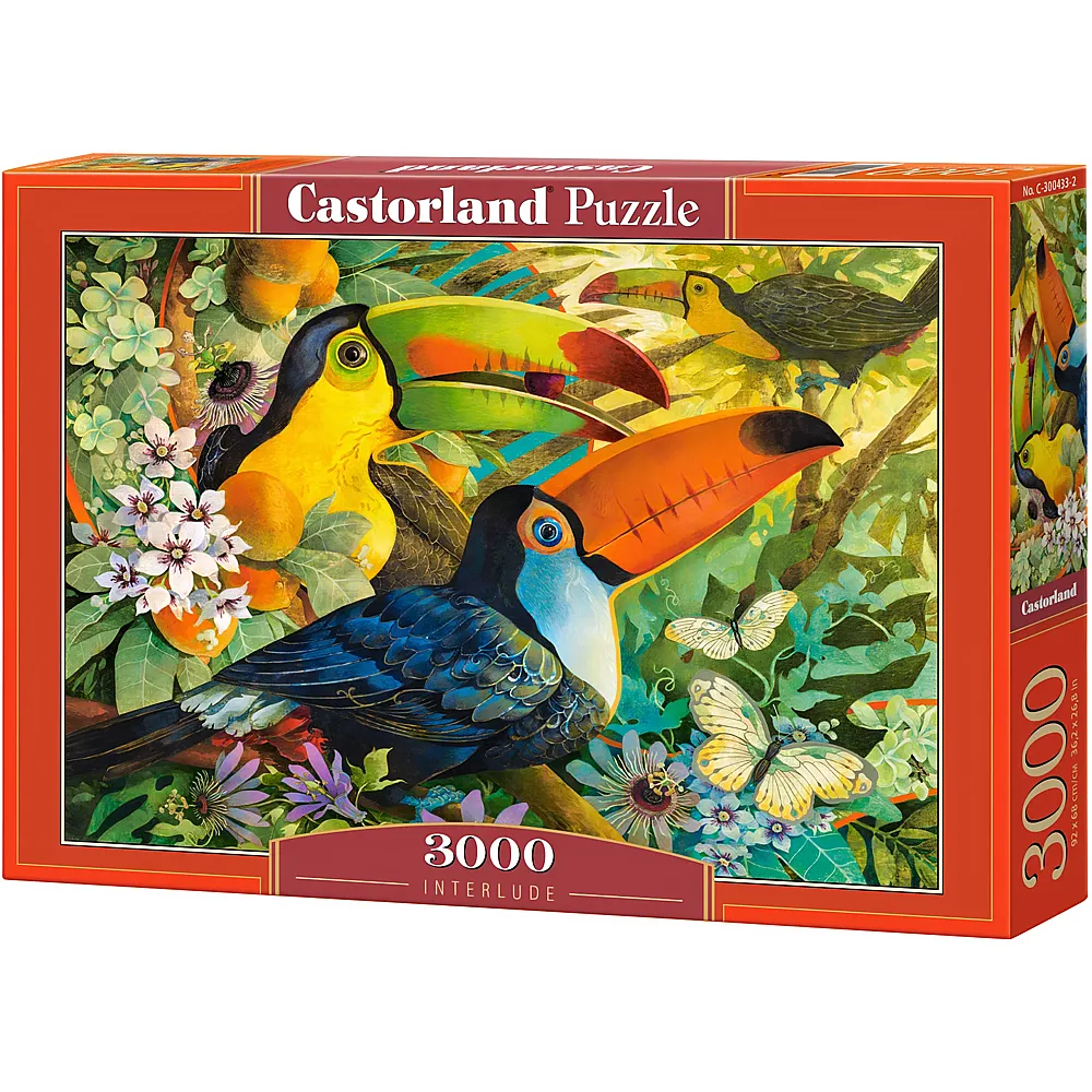 Castorland Puzzle David Galchutt: Interlude - 3000 Teile