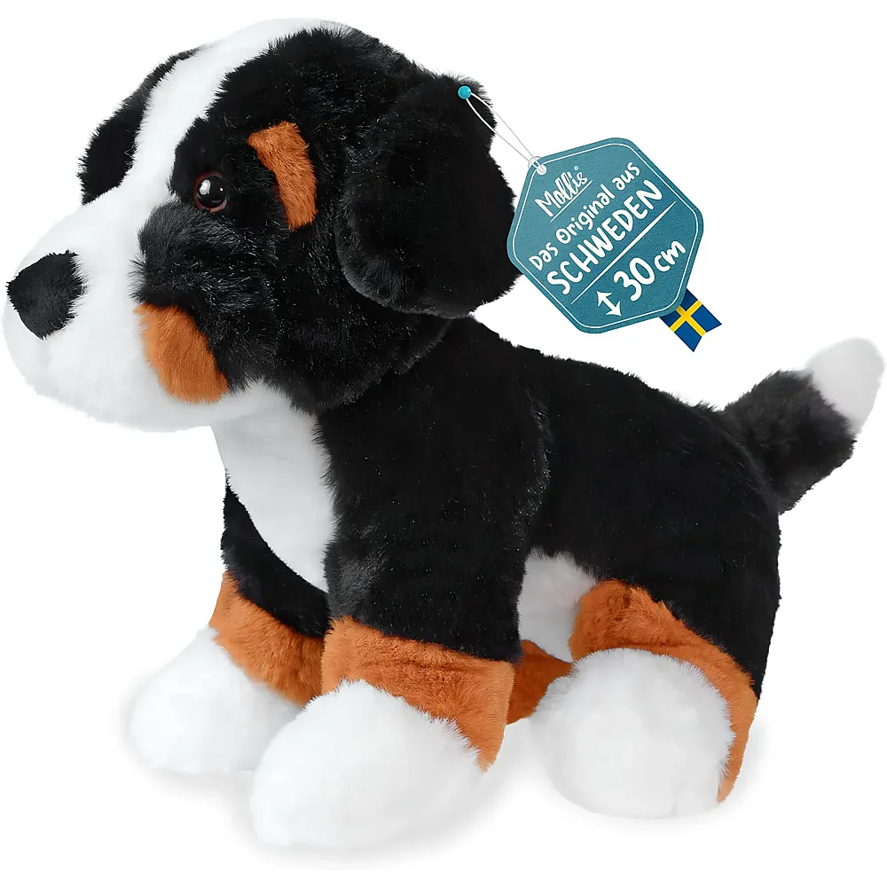 Mollis Berner Sennenhund - 30 cm