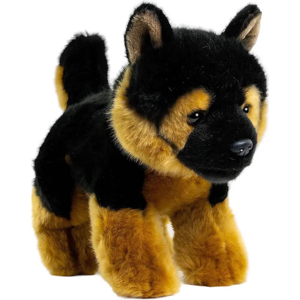 Carl Dick Chiot Berger Allemand - 21 cm