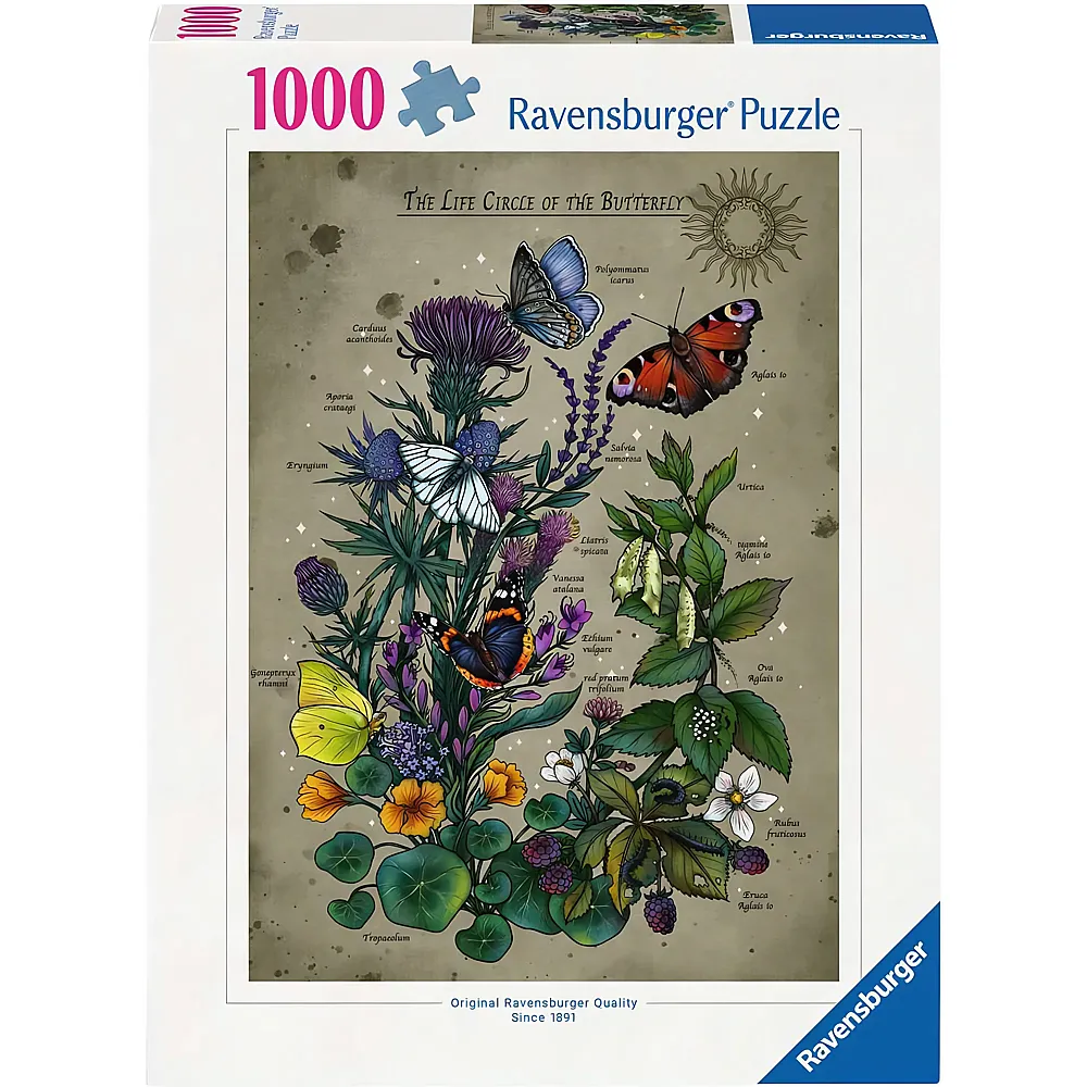 Ravensburger Puzzle Lifecircle Butterfly - 1000 Teile