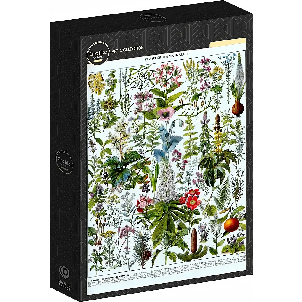 Grafika Puzzle Puzzle 1000 Teile Illustration aus Larousse: Heilpflanzen
