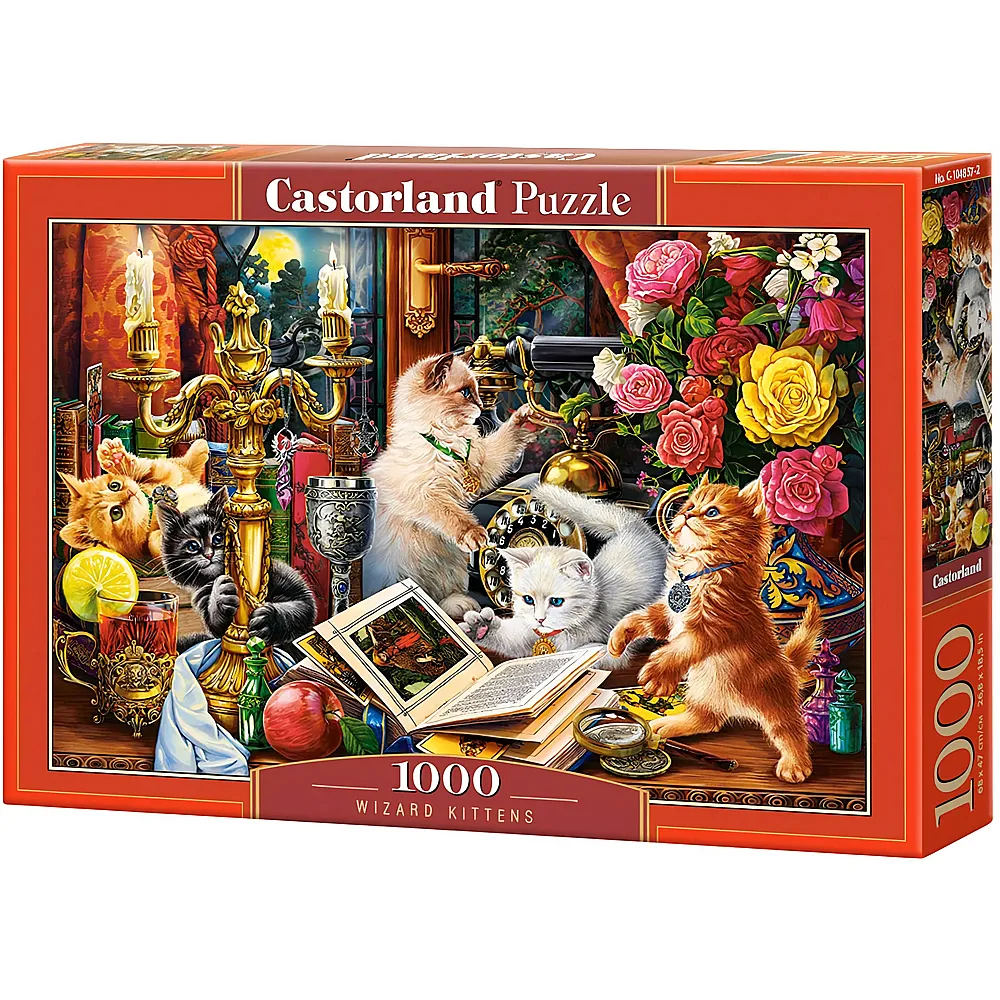 Castorland Puzzle Wizard Kittens - 1000 Teile