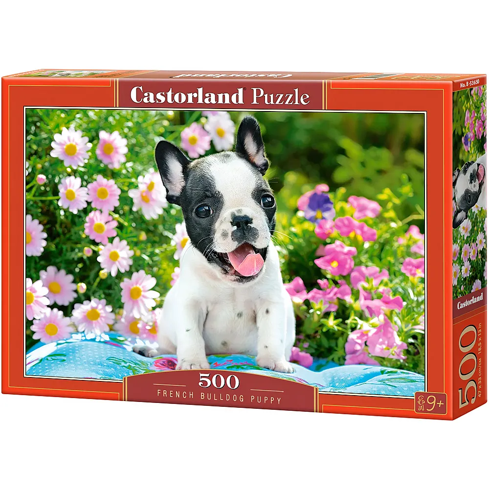 Castorland Puzzle Franzsische Bulldogge 500Teile