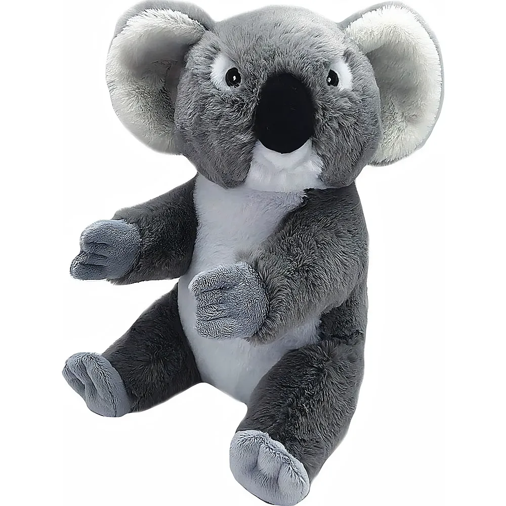 meinspielzeug - Wild Republic Australian Ecokins Koala - 20 cm | B�ren Pl�sch