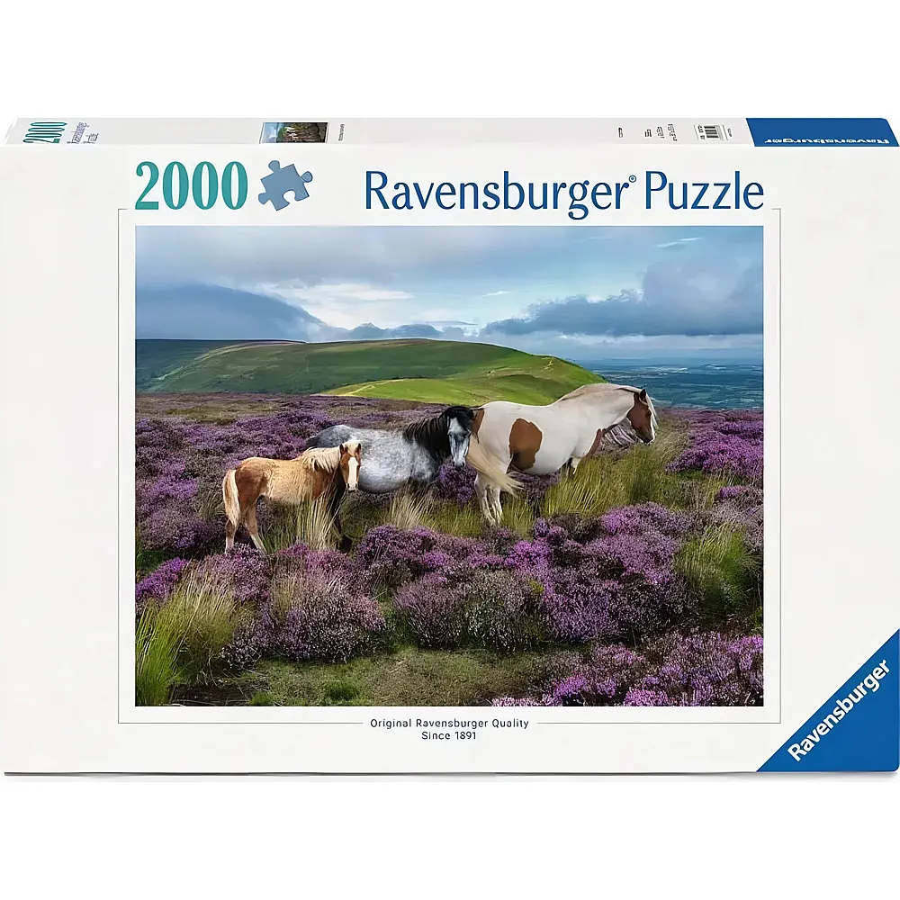 Ravensburger Puzzle Wildpferde in der Heide 2000Teile