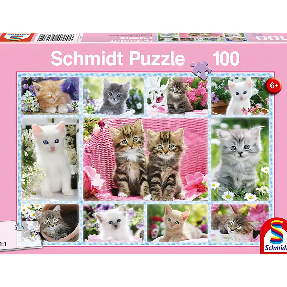 Schmidt Puzzle Katzenbabies 100Teile