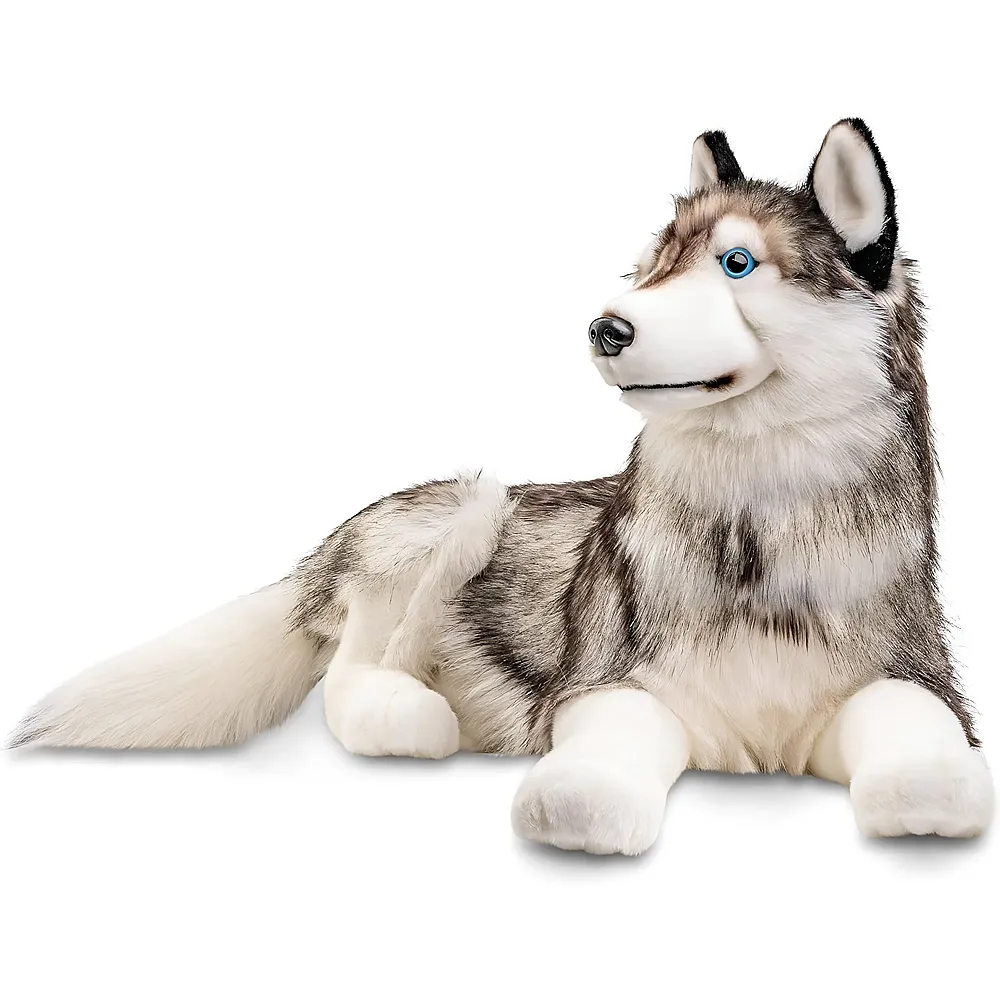Unitoys Husky liegend - 100 cm - Hunde Pl�sch