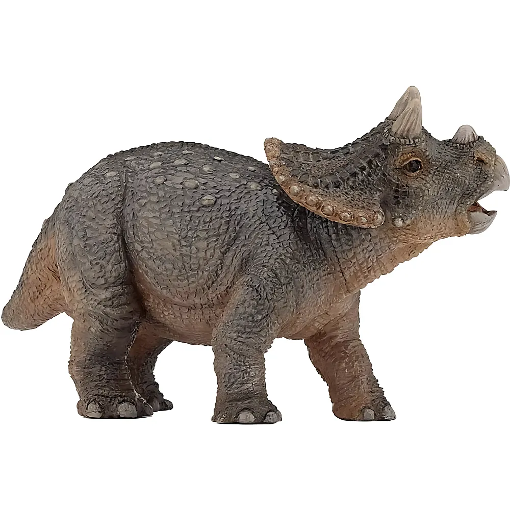 Papo Die Dinosaurier Junger Triceratops