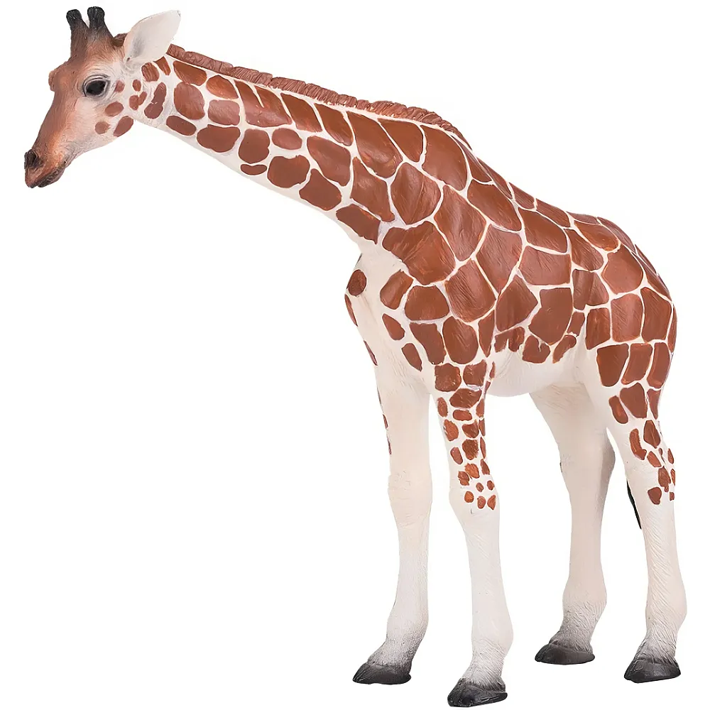 Mojo Wildlife Giraffe Weibchen