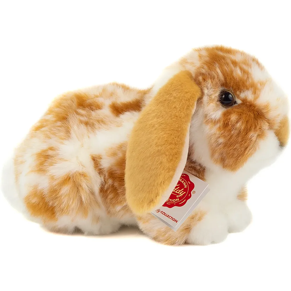 Teddy-Hermann Widderkaninchen gescheckt Hellbraun-Weiss - 23 cm