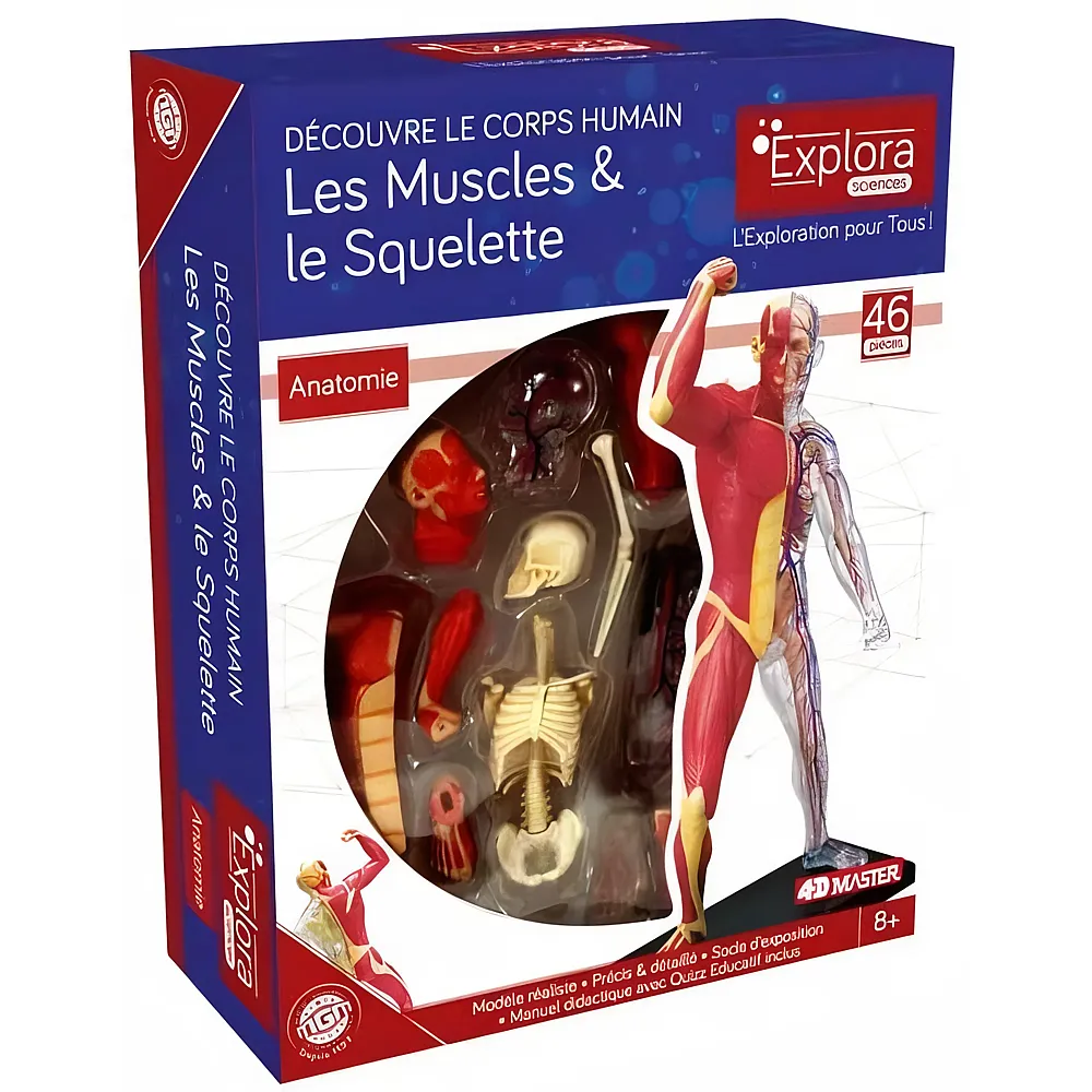 Mgm Explora Kit Anatomie DU Squelette ET Muscles 46pcs FR