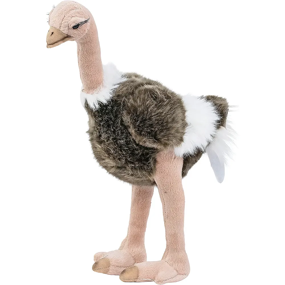 Teddys Rothenburg Strau - 32 cm - V�gel Pl�sch