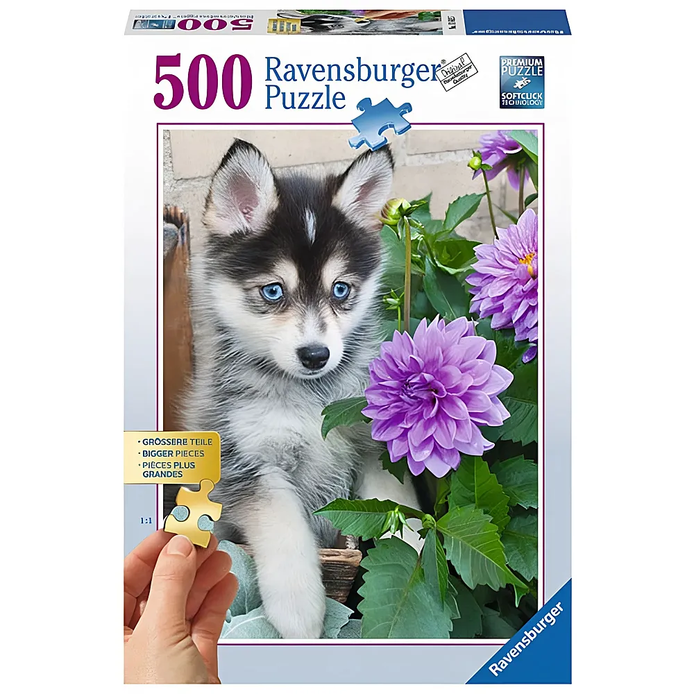 Ravensburger Puzzle Putziger Husky 500Teile