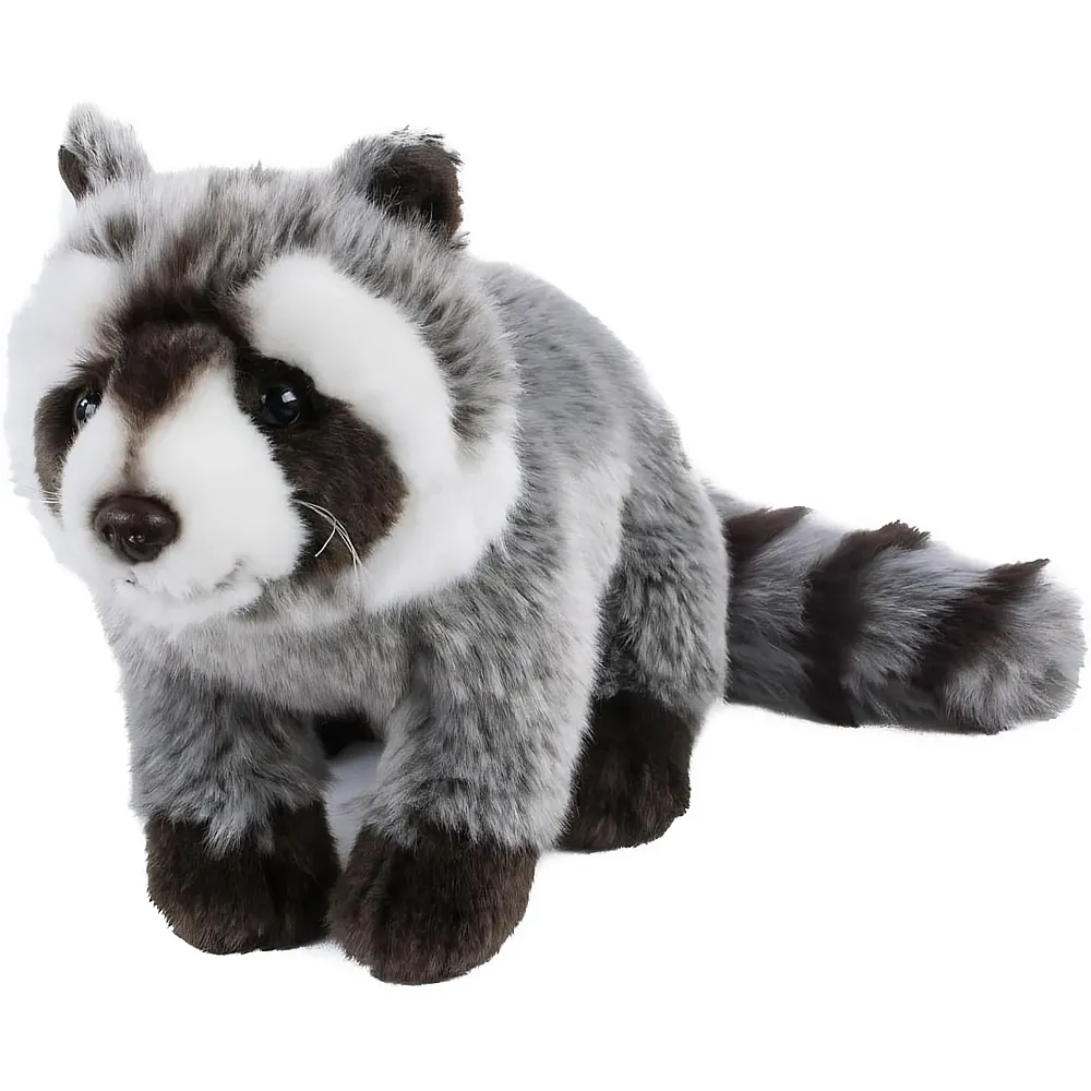 Teddys Rothenburg Waschb�r - 33 cm