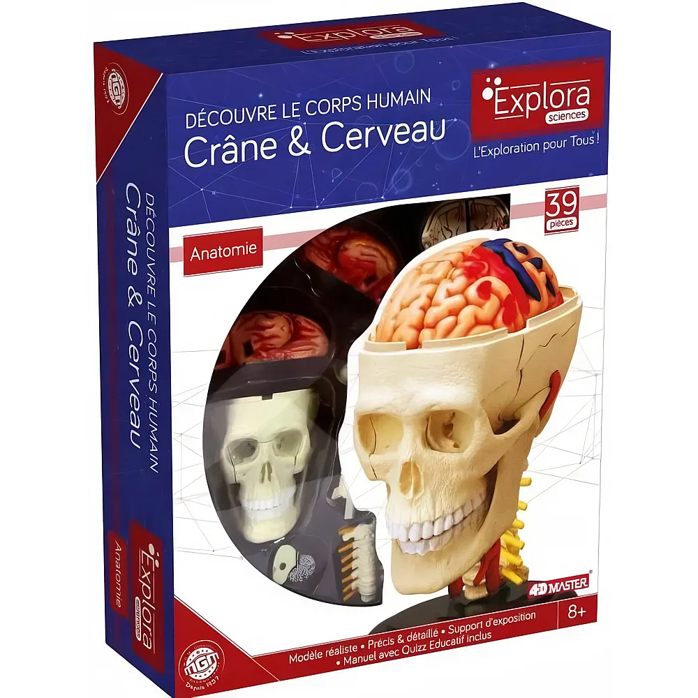 Mgm Explora Kit Anatomie DU Crane ET Cerveau 39pcs FR