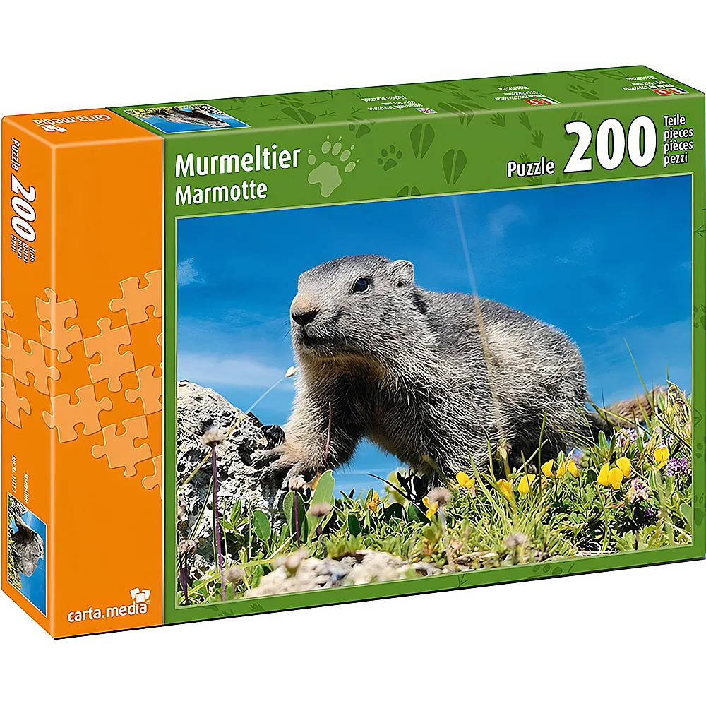 carta media Puzzle Murmeltier auf Alpwiese 200Teile | Puzzle 105-300 Teile