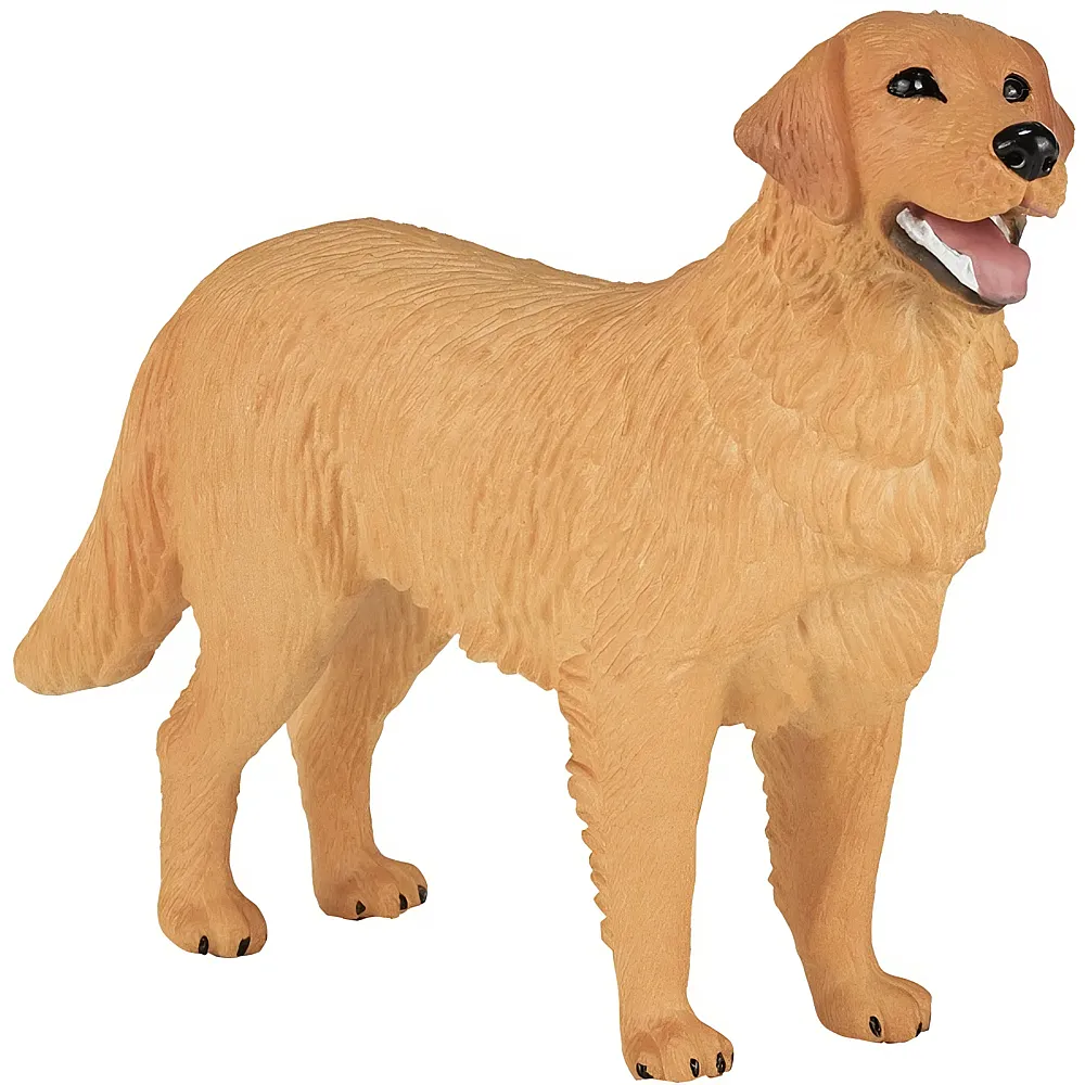 Mojo Farmland Golden Retriever