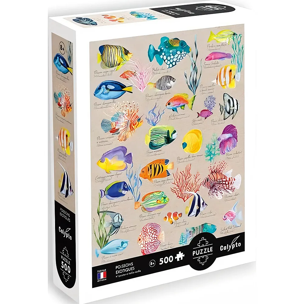 Calypto Puzzle Exotische Fische 500Teile