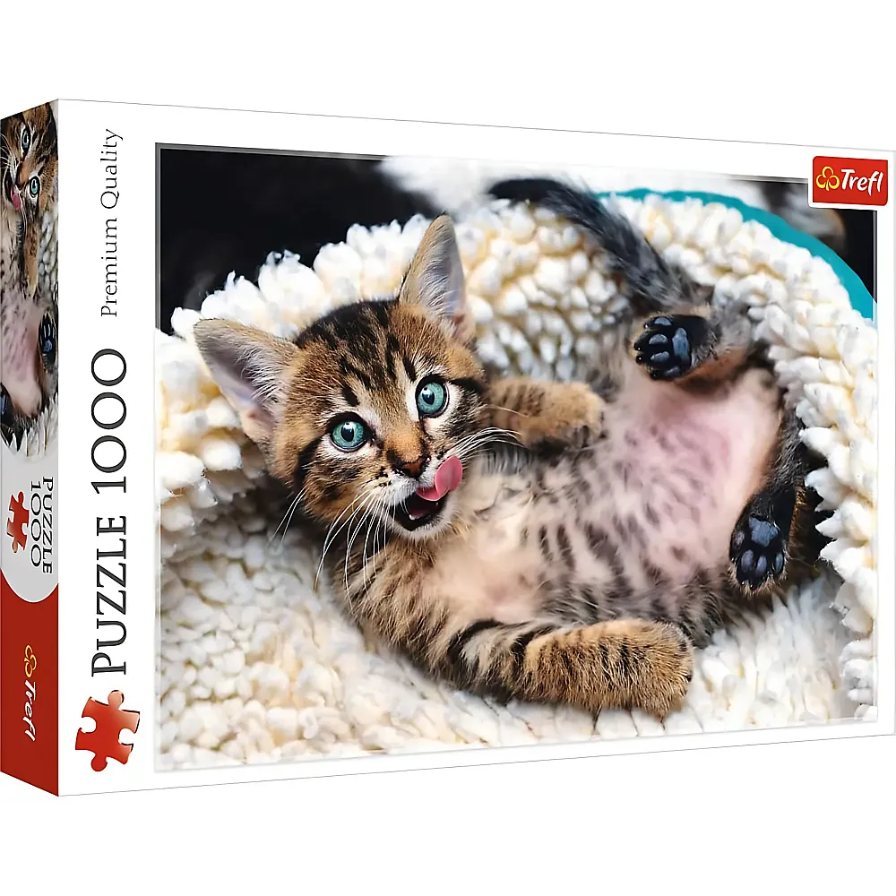 Trefl Puzzle K�tzchen - 1000 Teile