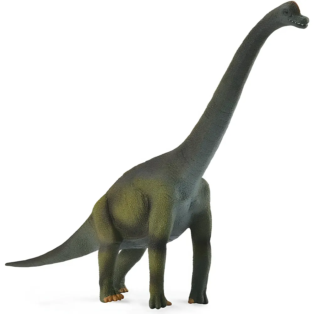 CollectA Prehistoric World Brachiosaurus | Dinosaurier
